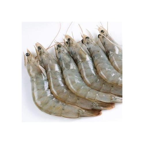 Kabuklu Karides 16/20 (KG)