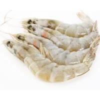 Kabuklu Karides 31/40 (KG)