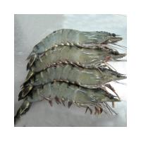 Kabuklu Karides 8/12 (KG)