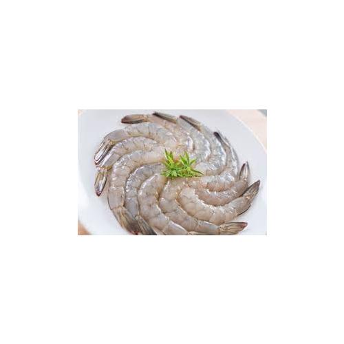 Kuyruklu Et Karides 21/30 (KG)