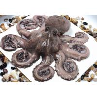 Ahtapot Çiçek 3000+ (KG)