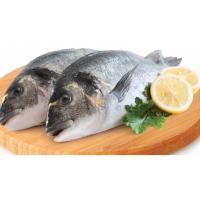 Çipura Vide 4/6 (KG)
