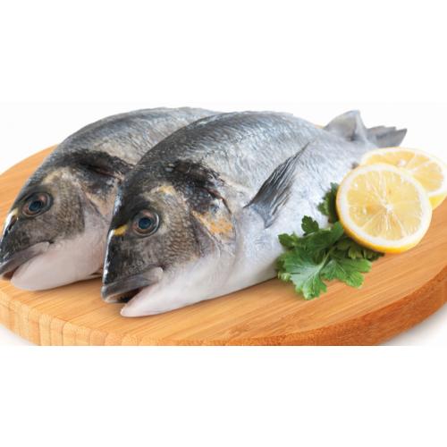 Çipura Vide 4/6 (KG)
