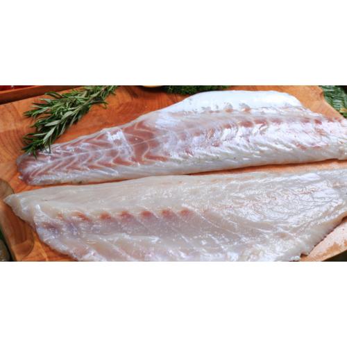 Nile Perch Fileto (Nil Levreği) (KG)